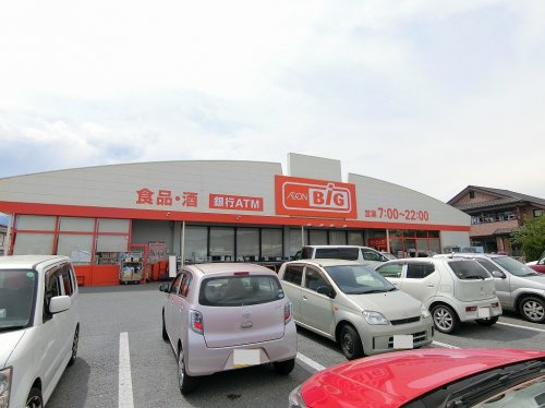 ザ・ビックザ甲斐敷島店