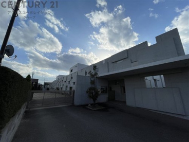 王たるキリスト幼稚園の画像2