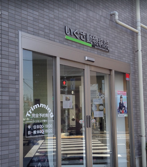 いぐさ動物病院 情報ページ 東久留米市の賃貸や不動産売買 リフォームなら株式会社leone レオーネ