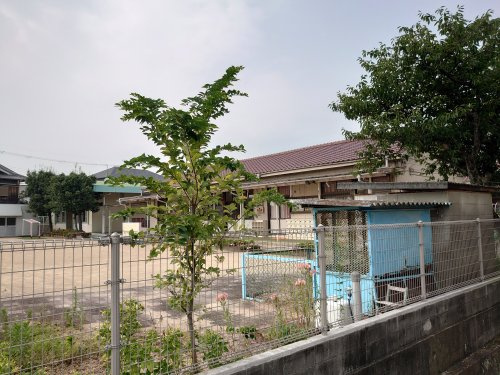 花田幼稚園