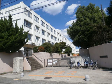 藤沢市立御所見小学校の画像1