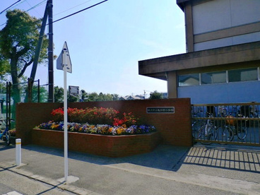 藤沢市立亀井野小学校の画像1