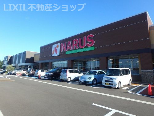 NARUS(ナルス) 高田西店