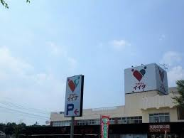 コモディイイダ 東川口店情報ページ 川越市の不動産や賃貸アパートはヒロハウス