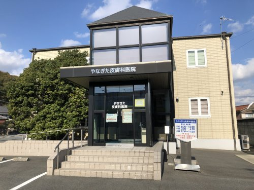 やなぎた皮膚科医院