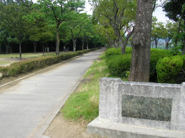 昆陽池公園の画像1