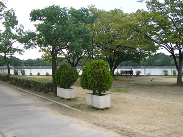昆陽池公園の画像2