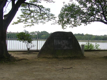 昆陽池公園の画像3