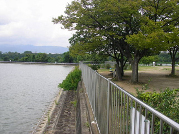 昆陽池公園の画像4