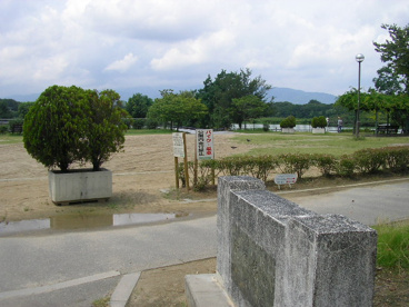 昆陽池公園の画像5