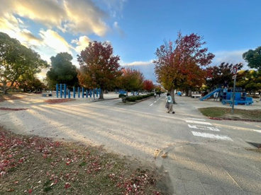 西武庫公園の画像3