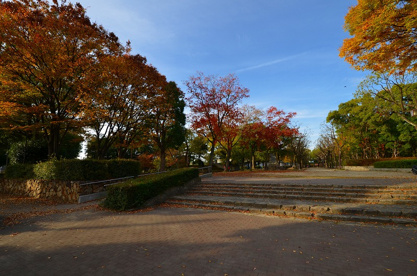猪名川公園の画像1