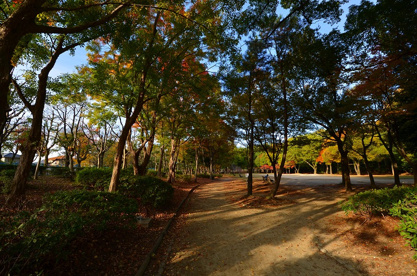 猪名川公園の画像4