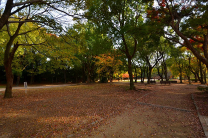 猪名川公園の画像5