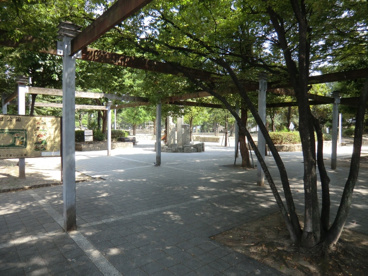 浜田公園の画像3