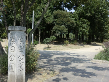 浜田公園の画像4
