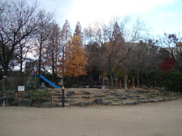 栗山公園の画像3