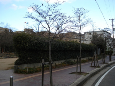 栗山公園の画像4