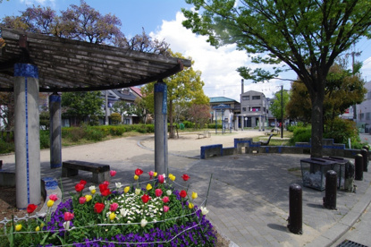 成文公園の画像1