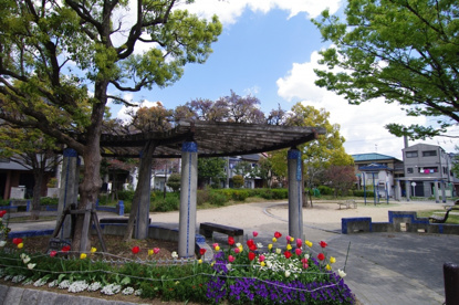 成文公園の画像4