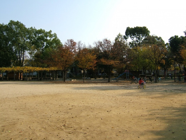 長洲公園の画像1