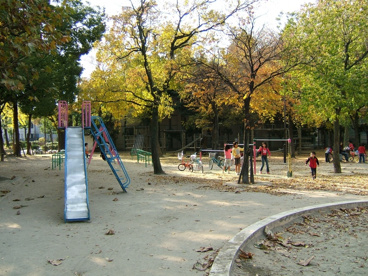 長洲公園の画像3