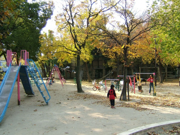 長洲公園の画像4