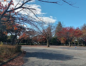 新松戸中央公園