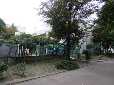 梅園幼稚園の画像4