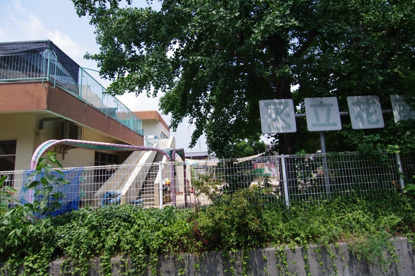 立花南愛児園の画像4