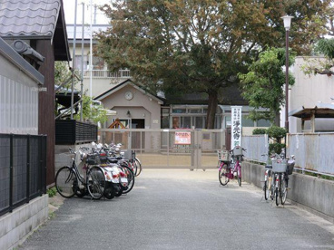 若葉保育園の画像2