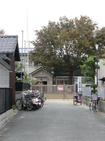 若葉保育園の画像3