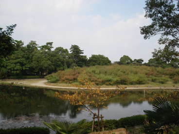緑ケ丘公園の画像1