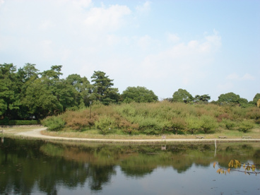 緑ケ丘公園の画像2