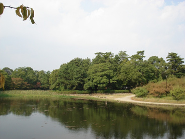 緑ケ丘公園の画像3