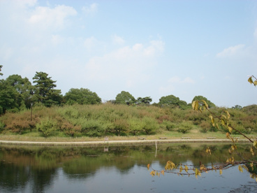 緑ケ丘公園の画像4