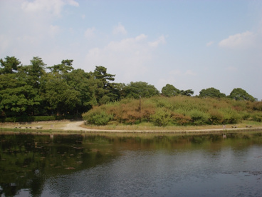 緑ケ丘公園の画像5