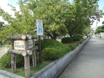 平木谷公園の画像2