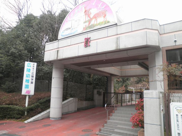 広陵幼稚園