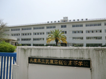県立武庫荘総合高等学校の画像4