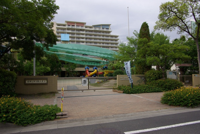 いるか幼稚園の画像2