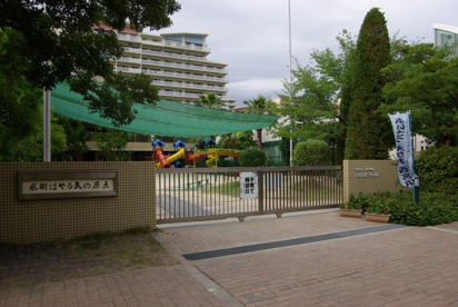 いるか幼稚園の画像4
