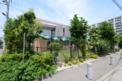 あおぞら幼稚園の画像3