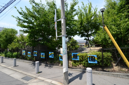 あおぞら幼稚園の画像4