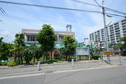 あおぞら幼稚園の画像5