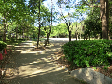 猪名川公園の画像3