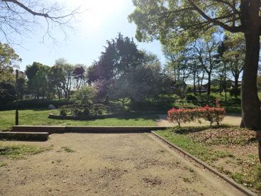猪名川公園の画像4