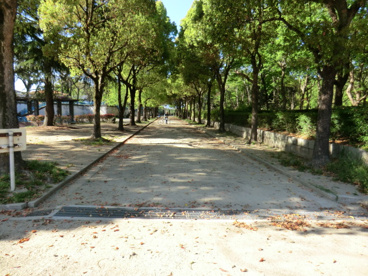 猪名川公園の画像5
