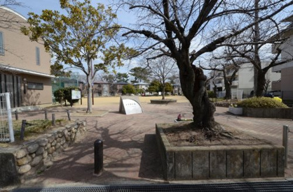 小曽根公園の画像1