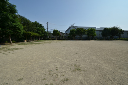 Q6公園の画像4